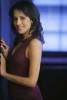 Hypnoweb Agam Darshi : biographie, carri�re et filmographie 