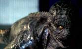Hypnoweb Teen Wolf (S2) 