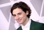 Hypnoweb Timoth�e Chalamet : biographie, carri�re et filmographie 
