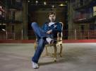 Hypnoweb David Tennant : biographie, carri�re et filmographie 