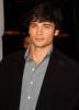 Hypnoweb Tom Welling : biographie, carri�re et filmographie 