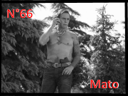 Numéro 66 Mato