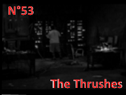 Numéro 53 The Thrushes