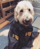 FBI, franchise FBI | Tournage de la saison 1 