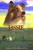 Dawson's Creek Lassie 