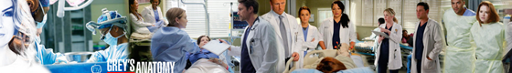 Newsletter Grey's Anatomy