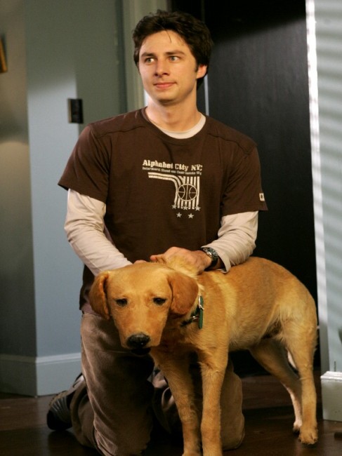 pdm_jd_et_les_animaux_1.jpg