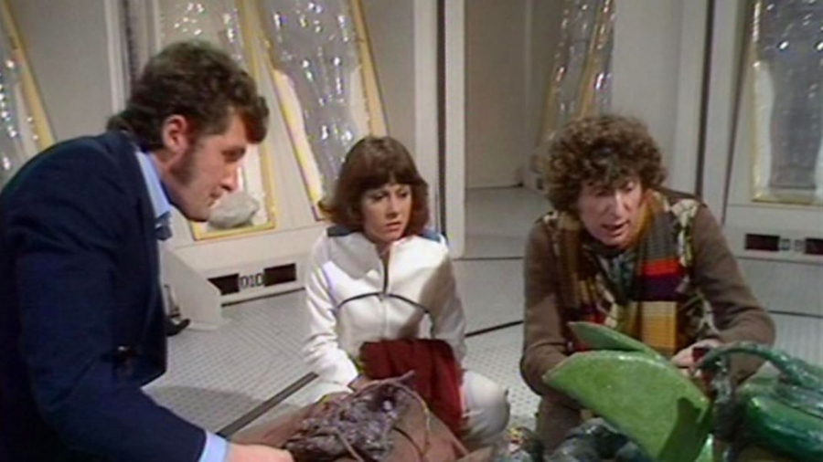 Harry, Sarah Jane et le Docteur