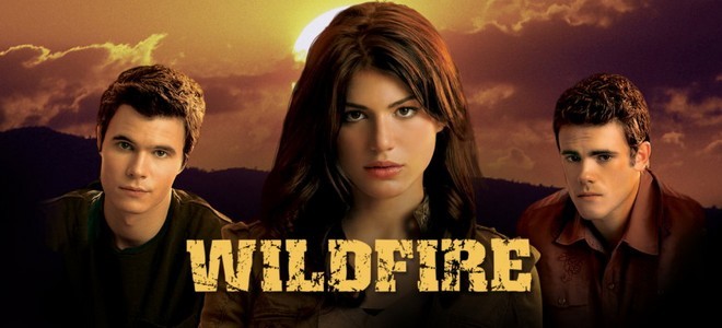 Bannière de la série Wildfire