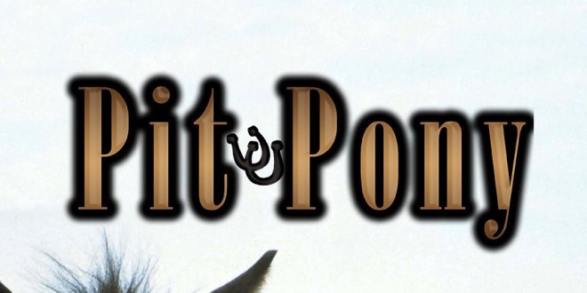 Bannière de la série Pit Pony 