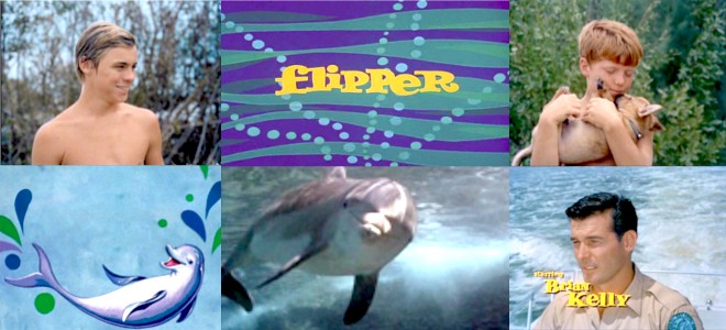 Bannière de la série Flipper