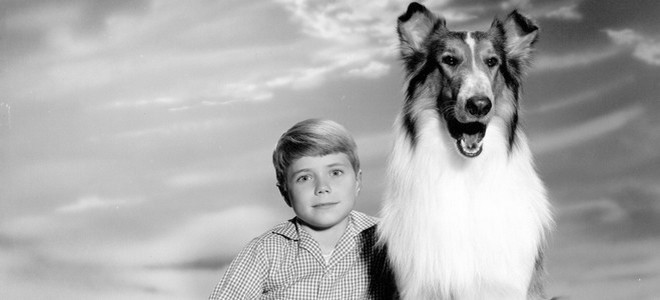 Bannière de la série Lassie