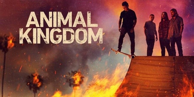 Bannière de la série Animal Kingdom