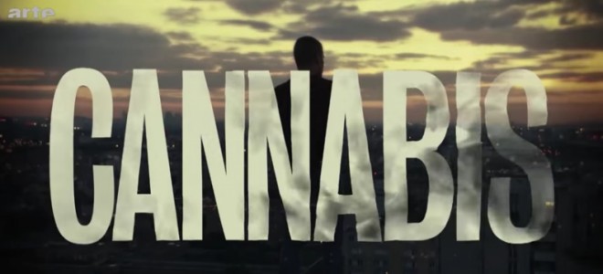 Bannière de la série Cannabis
