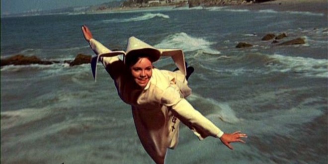 Bannière de la série The Flying Nun (1967-1970)