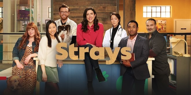 Banni�re de la s�rie Strays