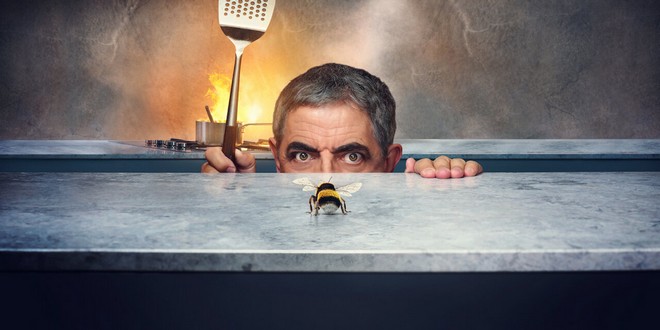 Bannière de la série Man vs. Bee