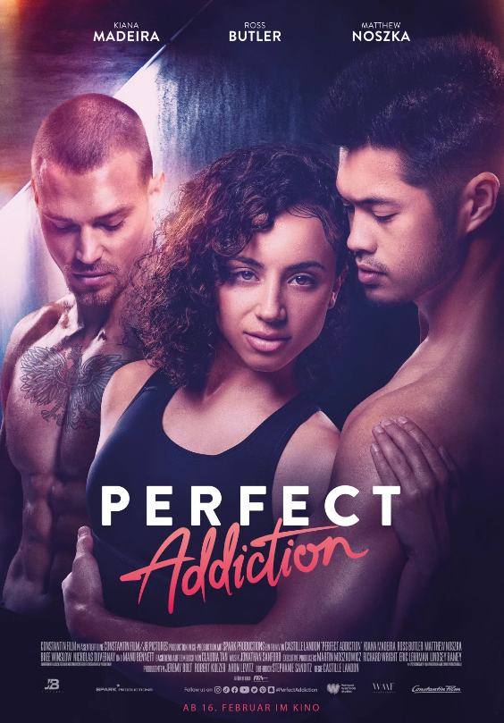 affiche perfect addiction