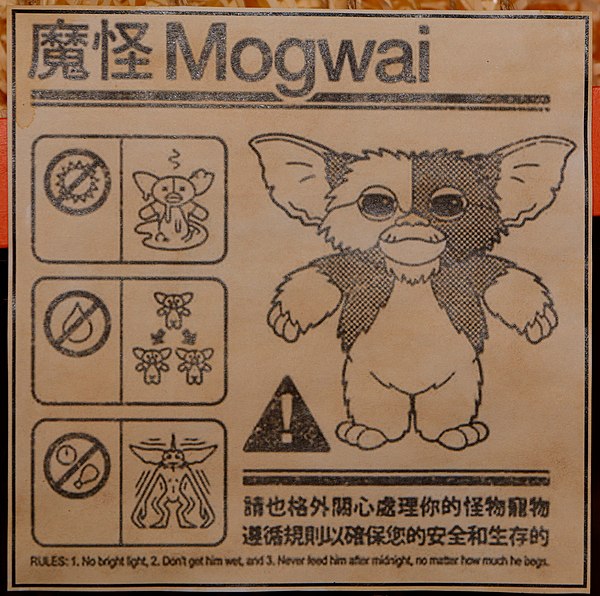 R�gles � respecter avec un mogwai