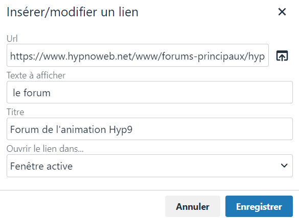 Capture de la pop-up de création de lien