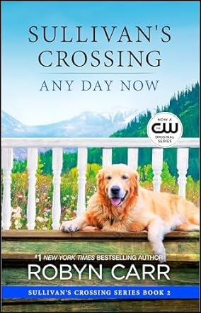 Sullivan's Crossing livre tome 2 any day now