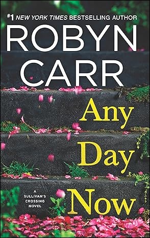 Sullivan's Crossing livre tome 2 any day now