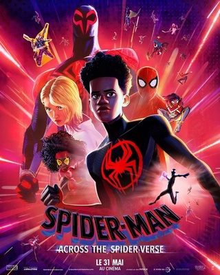 Affiche du film Spider-Man : Acros the Spider-Verse