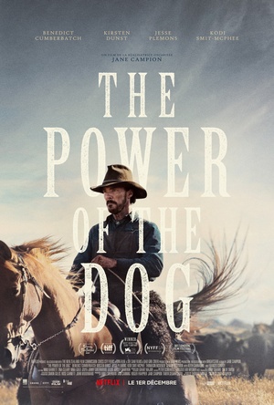 Affiche du film The Power of the Dog