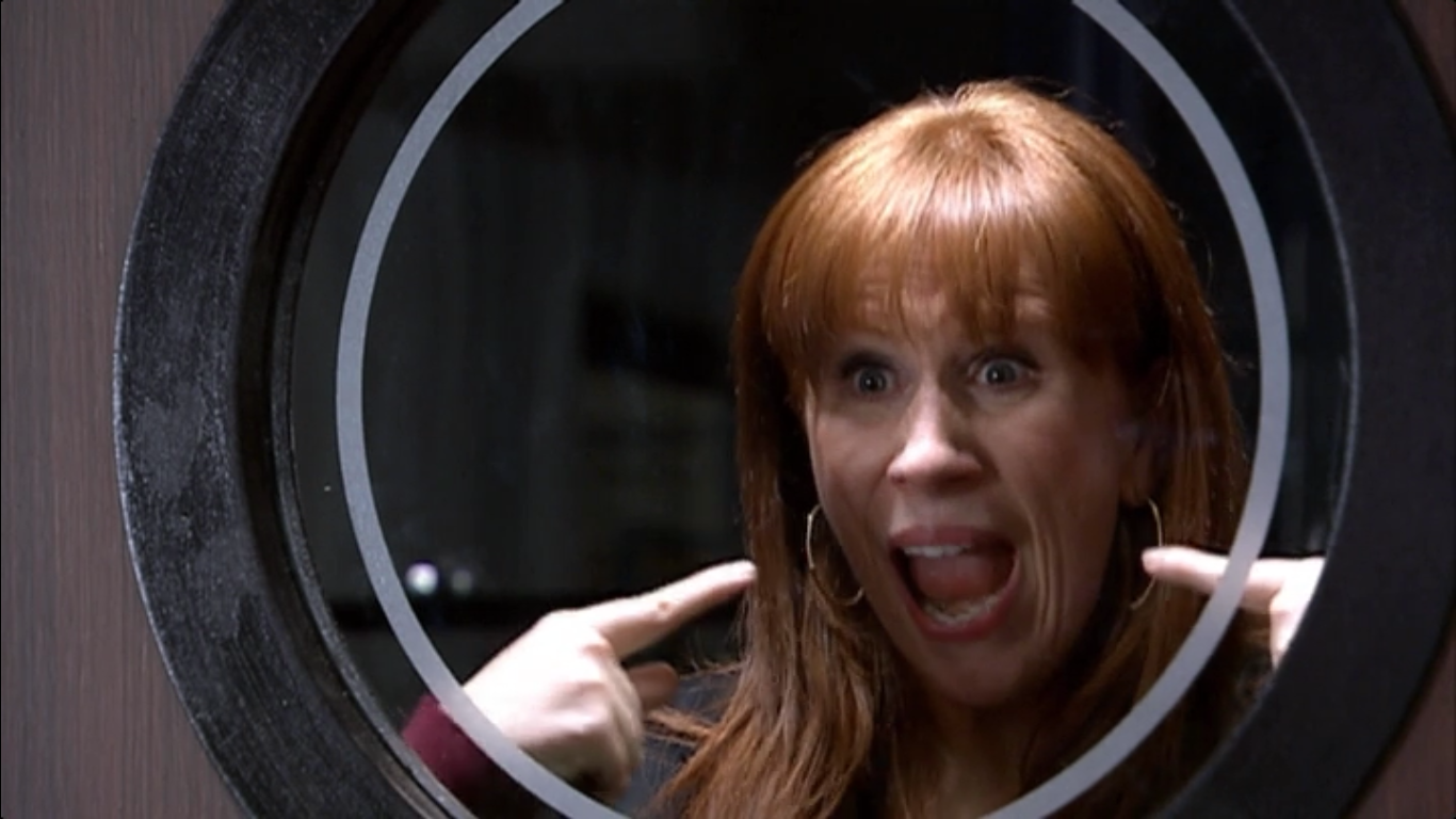 Doctor Who: donna noble