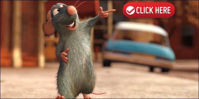 Ratatouille présente le guide des clics indispensables pour dynamiser Hypnoweb