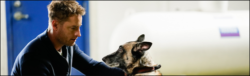Colter (Justin Hartley) avec un chien - 2.07 Tracker